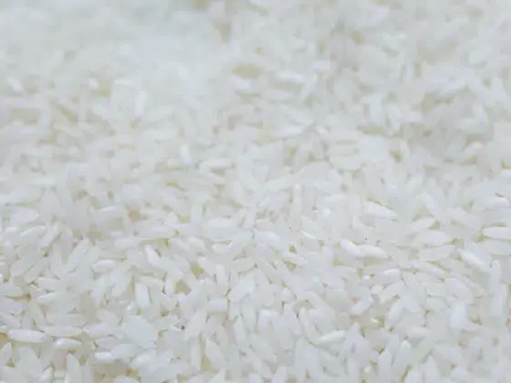 Riskorn för att torka datorn 2